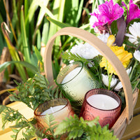 DIFUSOR DE AMBIENTE VIOLETA SERENA