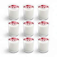 PACK VELA BASIC x9 MANZANA & CANELA