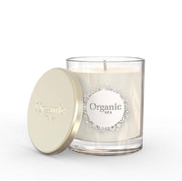 VELA VEGETAL EN VASO CHICO MANZANA & CANELA