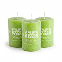 PACK VELA 6X10 x3 VERBENA & FRESIAS