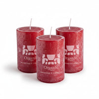 PACK VELA 6X10 x3 MANZANA & CANELA