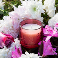 VELA ROSA POÉTICA