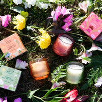 VELA ROSA POÉTICA